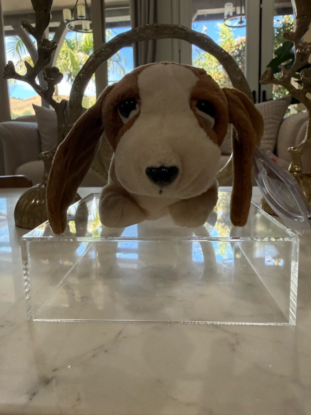 Ty Brown and White Dog Beanie Boo Plush - Picture 4 of 8